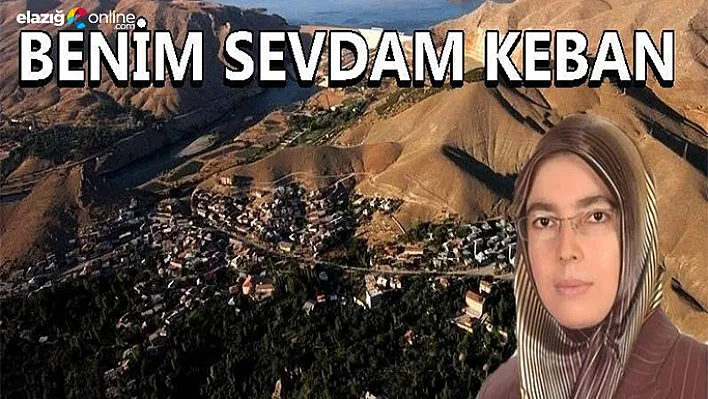 Keban'da ki hizmetler bürokrasi engeline takılıyor!