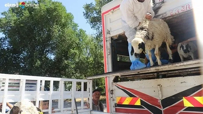 Elazığ'da 'Genç Çiftçi Desteklenmesi' projesi