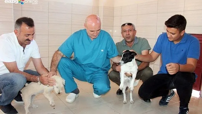 Elazığ'da hayvanlara otel hizmeti