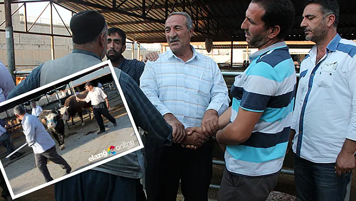 Pazarlıklar Kızıştı!