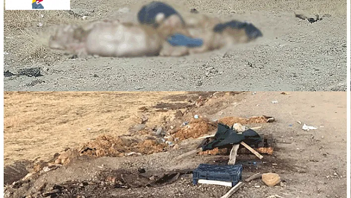 Bayramda Yine Kurallar İhlal Edildi!