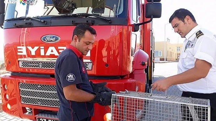 Kanadı kırılan güvercini itfaiye kurtardı