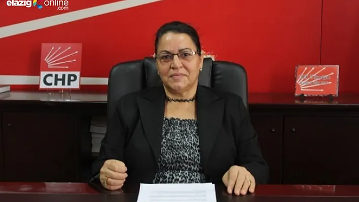 Şenocak: Yasa tasarısı ayrımcılık çıkaracaktır