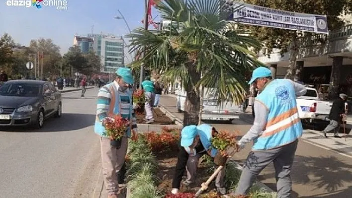 Elazığ kış ayında da rengarenk