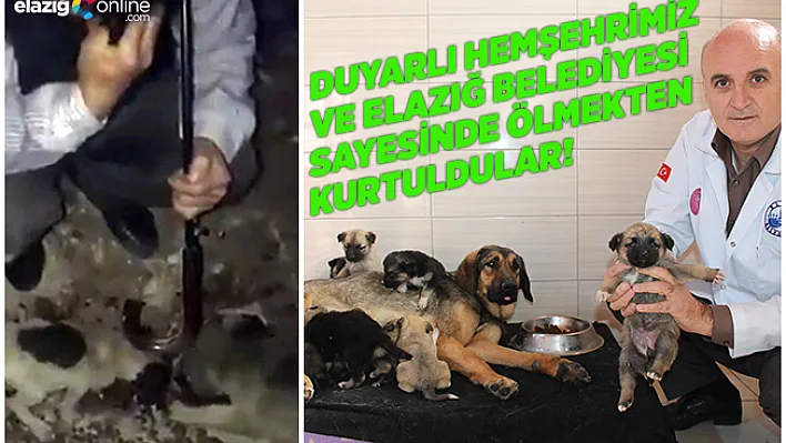 Köylü Ağlayarak Sosyal Medyadan Yardım İstedi, Belediye El Attı!