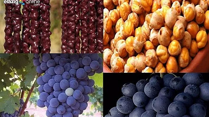 Vali Gakgoyla Elazığ Markalaşıyor