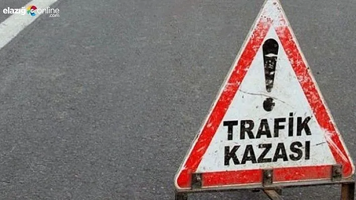 Elazığ'da otomobilin çarptığı kadın hayatını kaybetti. 