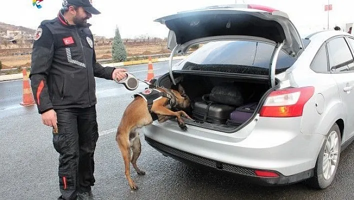 Narko köpekler narko timlerin en büyük destekçisi