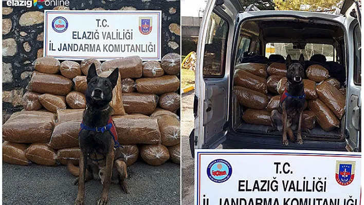 250 KG Tütüne Büyük Ceza!