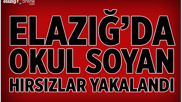 Elazığ'da okul soyan 2 hırsız tutuklandı