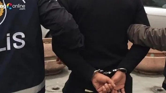 Elazığ'da 'Zeytin Dalı Harekatı' Gözaltısı!