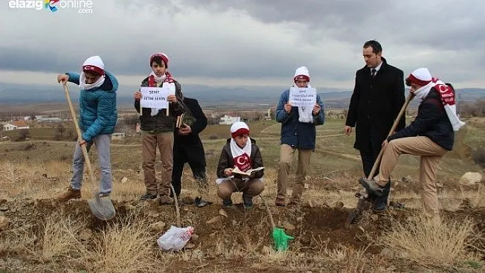 Öğrenciler Şehit Fethi Sekin anısına "Çınar" dikti