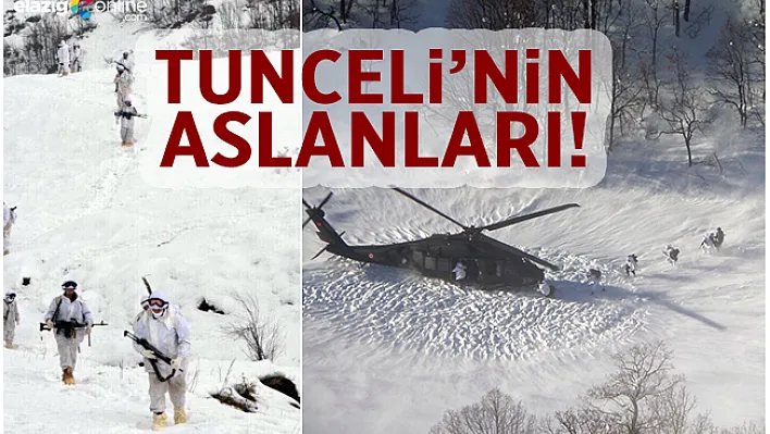 Tunceli teröristlerden temizlendi, 114 terörist etkisiz hale getirildi!
