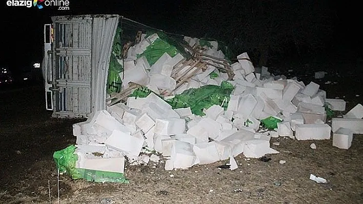 Elazığ'da kamyon devrildi: 1 yaralı