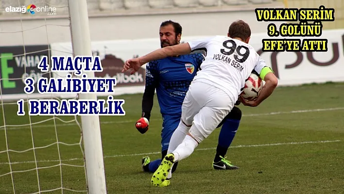 Elaziz Belediye Aydın'da Efe'lendi!