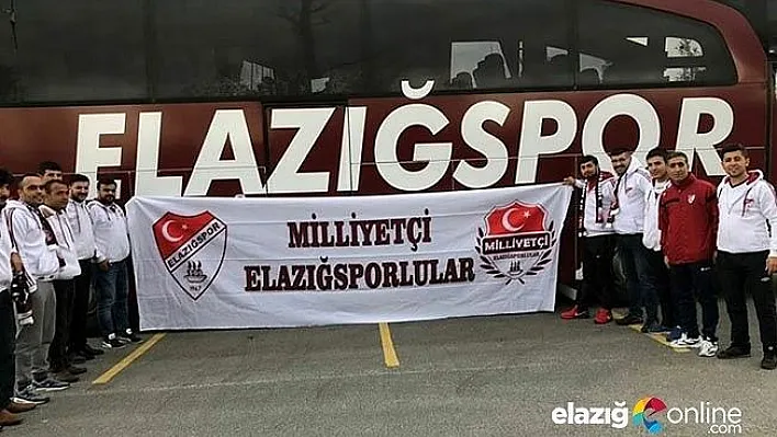 Şehirde sessizlik var, &quotsusma" koca çınar