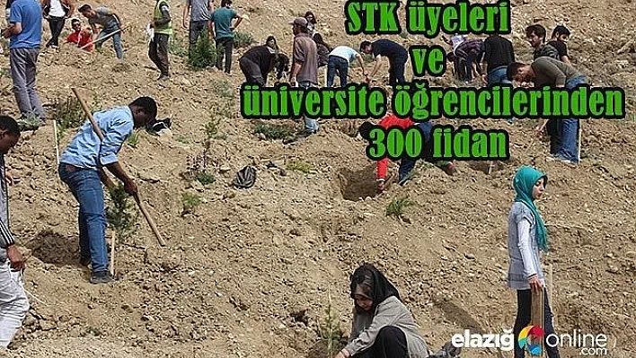 STK üyeleri, Cip'e fidan dikti