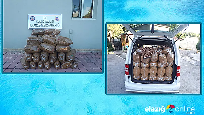 420 kilo kaçak tütün ele geçirildi