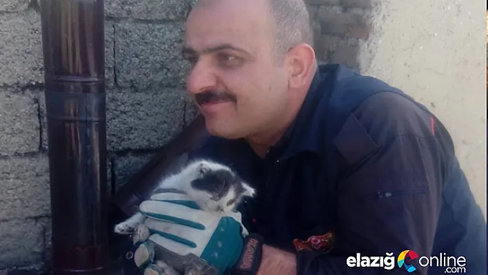 Bacaya sıkışan kedi kurtarıldı