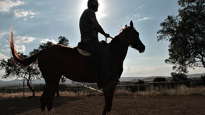 Müdürlüğü bıraktı, at çiftliği açtı