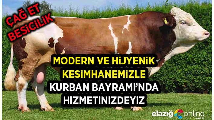 ÇAĞ ET BESİCİLİK | 30 Yıllık Tecrübe!