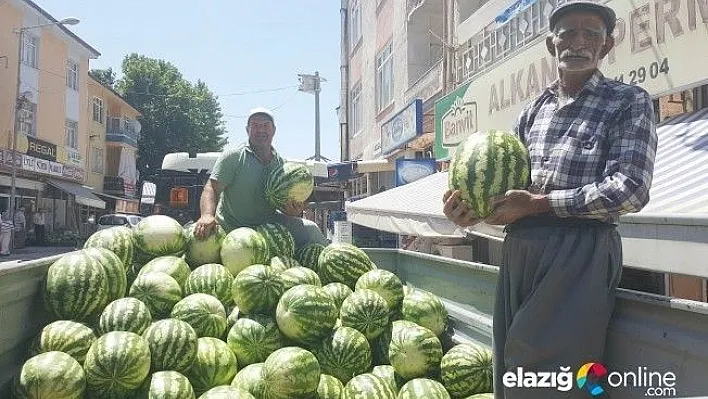Çemişgezek karpuzu tezgahlarda yer buluyor