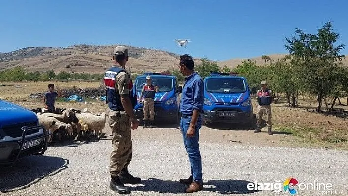 Jandarma, Kayboldan Koyunları Drone ile Buldu!