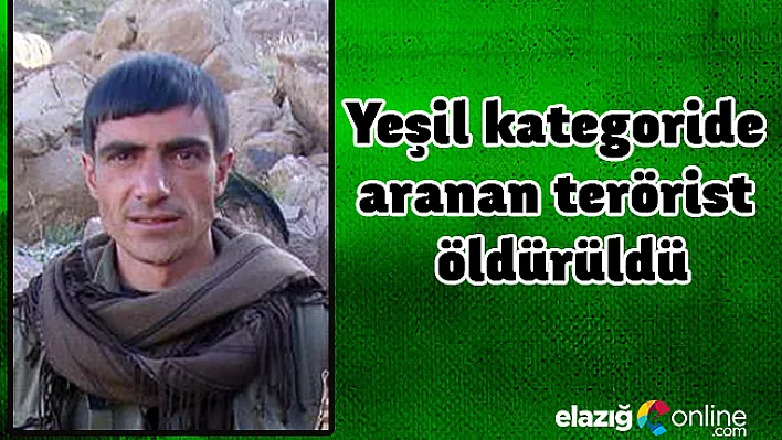 Yeşil kategoride aranan terörist öldürüldü