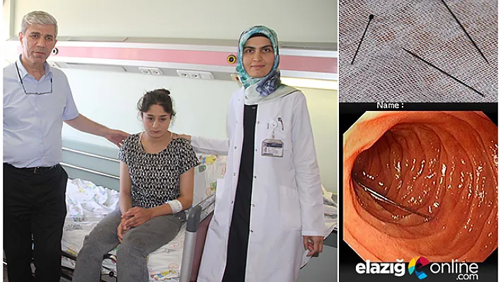 Kedi üzerine atlayınca 15 iğne yuttu!