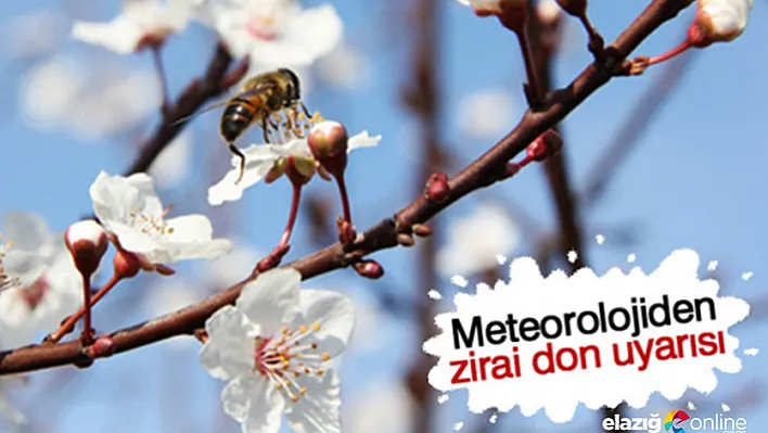 Elazığ için Zirai Don Uyarısı!