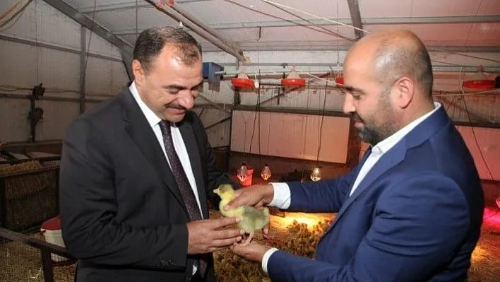 Vali Kaldırım, Türkiye'nin en büyük kaz çiftliğini inceledi