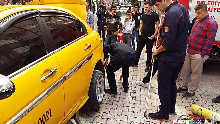 Yılan ticari taksiye girdi sonra...