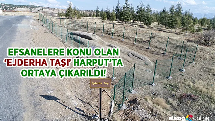 Efsanelere konu olan &quotEjderha taşı"  Harput'ta ortaya çıkarıldı