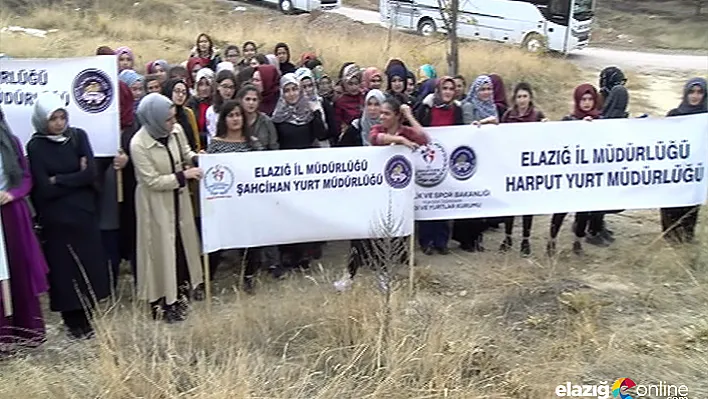 Her KYK'lı Öğrencinin Bir Fidanı Olsun