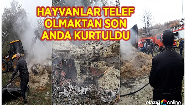 Nazımiye'de ahır yangını