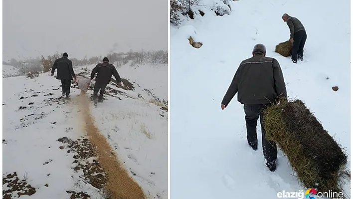 Elazığ'da yaban hayvanları için 2 ton yem bırakıldı