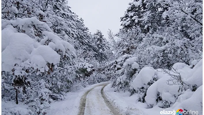 Elazığ ve Malatya'nın ilçeleri için kuvvetli yağış uyarısı