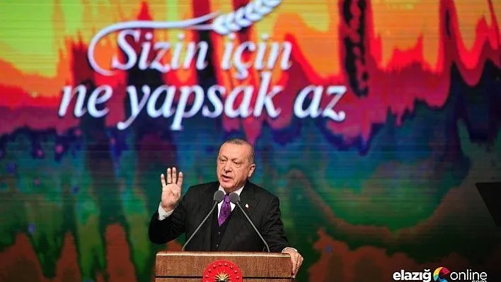 Cumhurbaşkanı Erdoğan'dan sert eleştiriler!