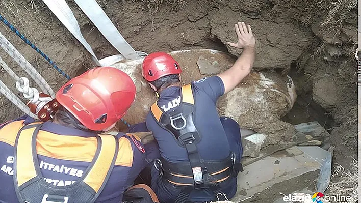 Kuyuya düşen inek, itfaiye ekipleri tarafından kurtarıldı