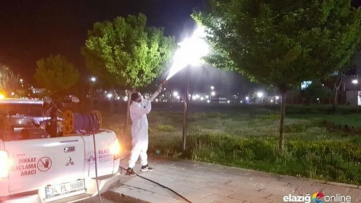 Elazığ'da haşerelere karşı ilaçlama