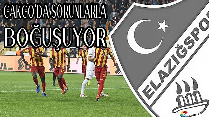 Evkur Yeni Malatyaspor'da Avrupa Heyecanı!