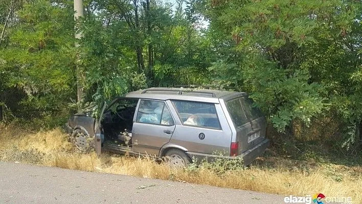 Elazığ'da otomobil elektrik direğine çaptı: 2 yaralı