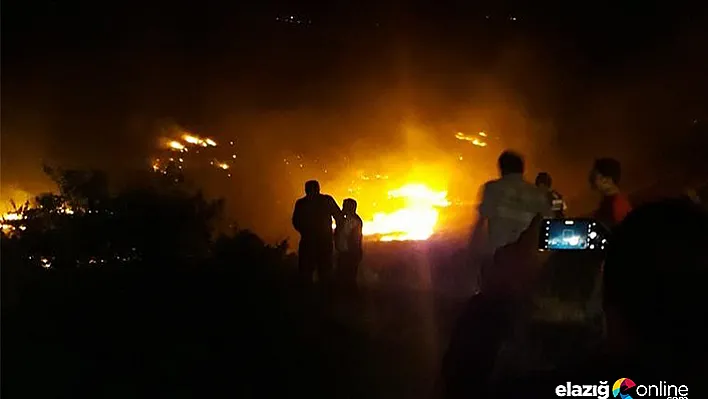 Elazığ'daki orman yangını söndürüldü