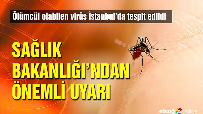 Ölümcül olabilen virüs Türkiye'de görüldü