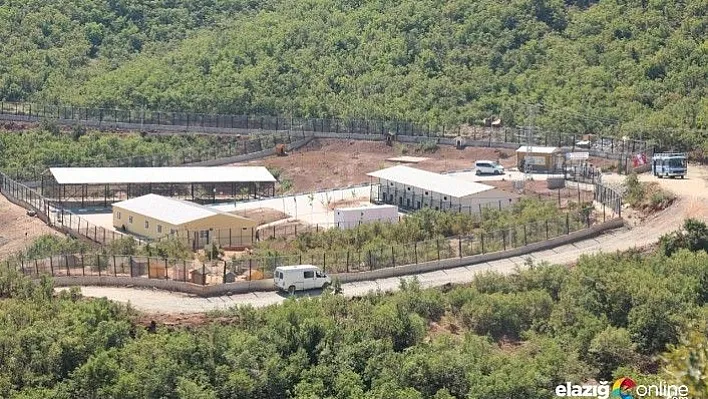 Barınak'ta içleri sızlatan görüntü