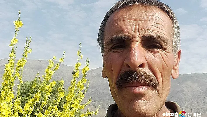 Boğa, sahibini öldürdü