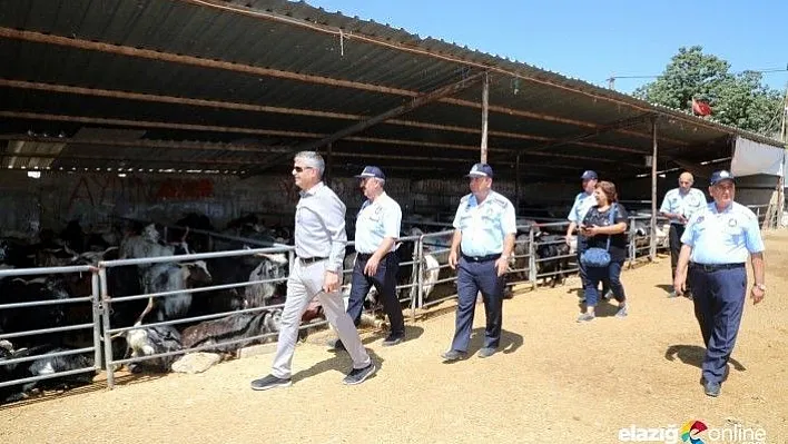 Zabıtadan kurban denetimi