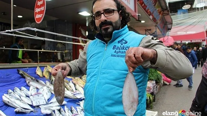 Elazığ'da, balık bereketliliği yaşanıyor