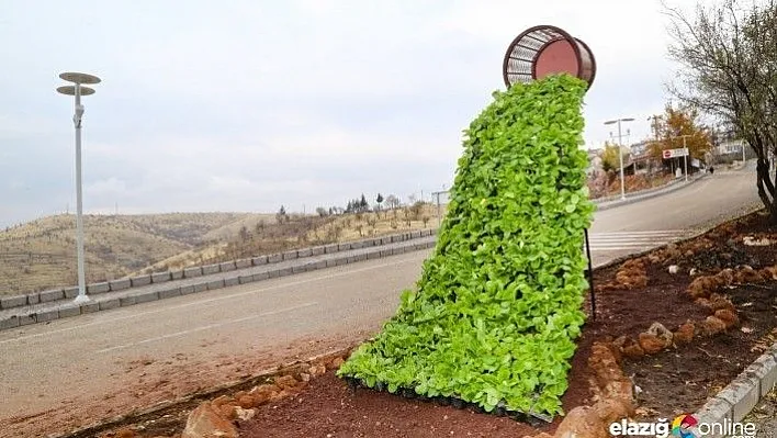 Elazığ dikey bahçe uygulamasıyla renklenmeye başladı