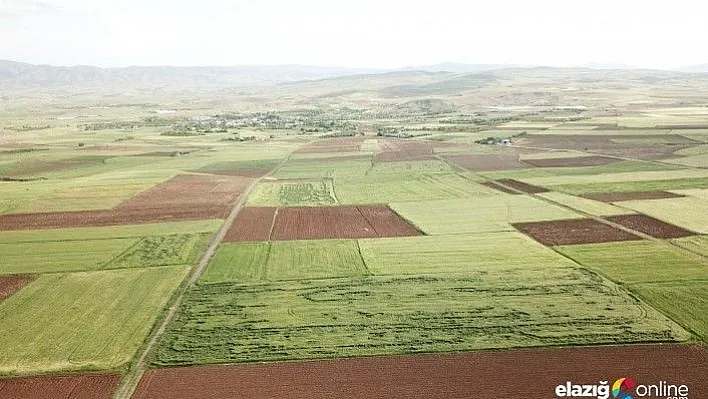 Elazığ ve Malatya'da 304 bin 391 dekar alanda toplulaştırma yapıldı
